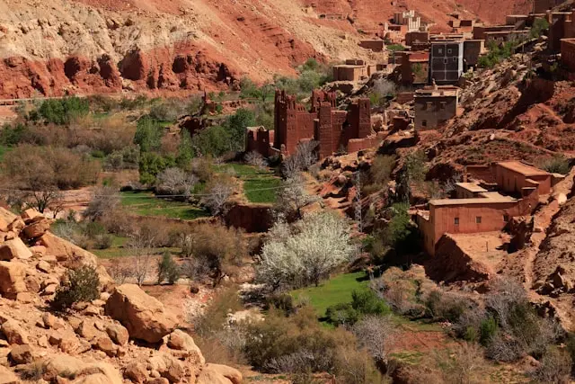 Day 11: Ouarzazate, Marrakech