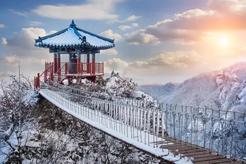 Day 15: Gyeongju, Daegu