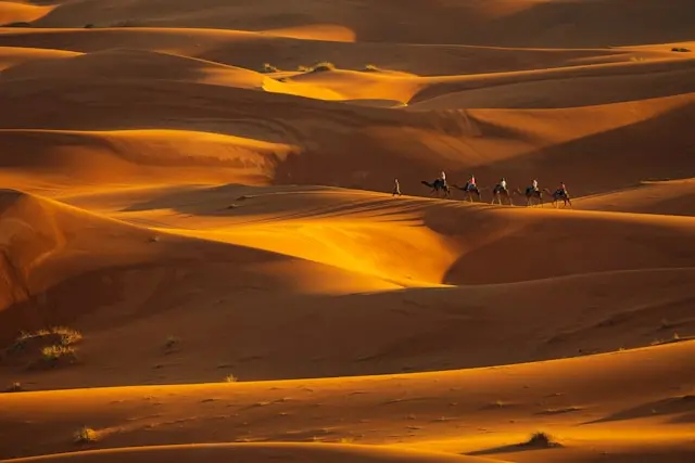Day 3: Ouarzazate, Zagora, Jeep Safari, M’hamid