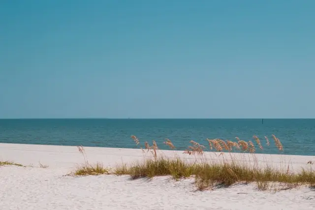 Day 10: NEW ORLEANS - GULF OF MEXICO - PENSACOLA
