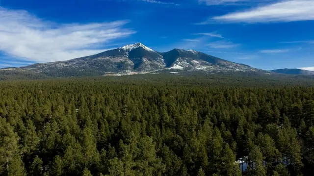 Day 10: Flagstaff – Seligman/Route 66 – Las Vegas
