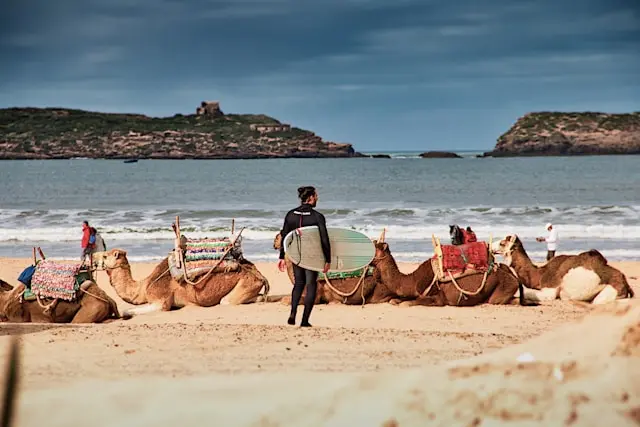 Day 13: Essaouira, Marrakech