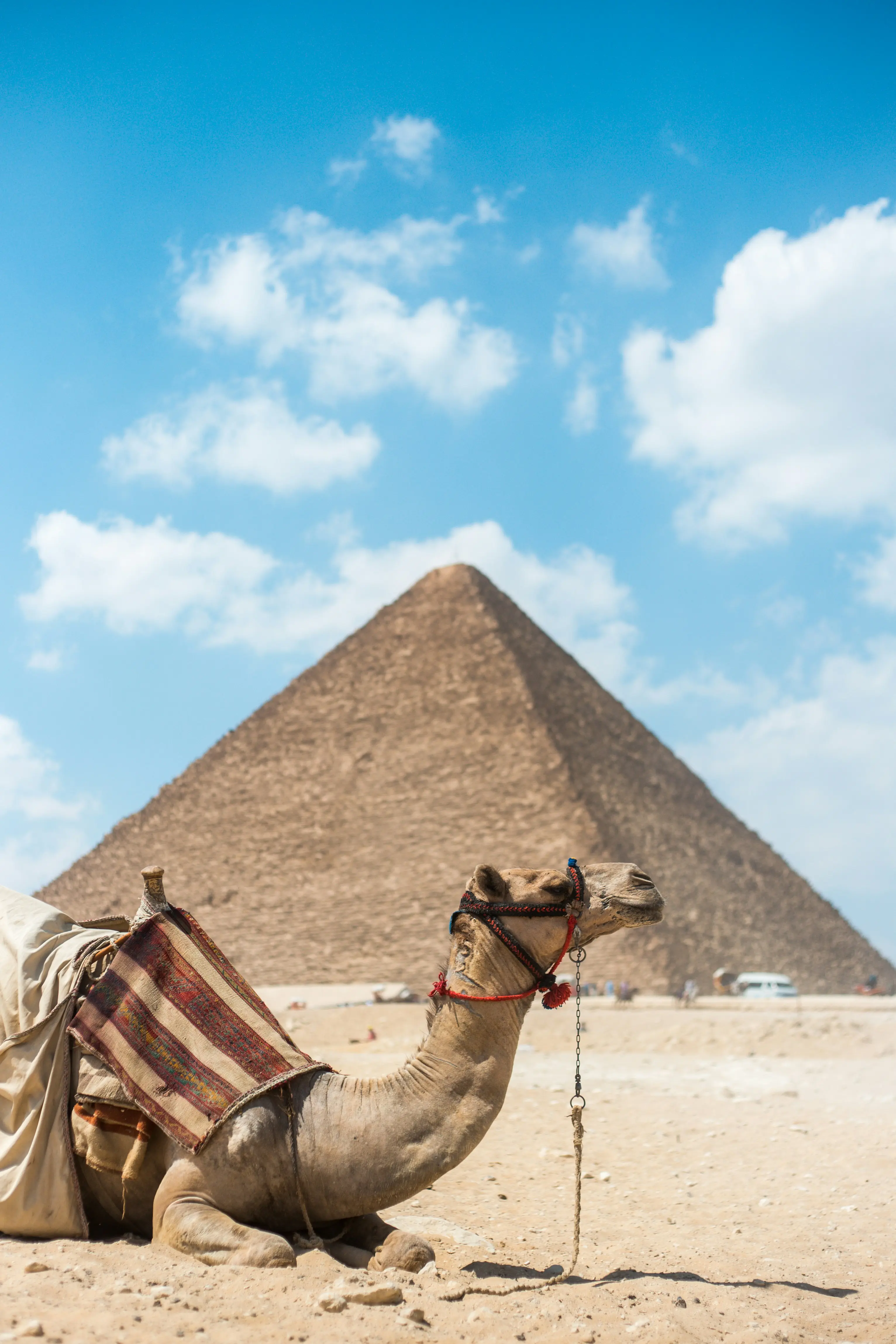 Day 7: Nile Cruise - Aswan