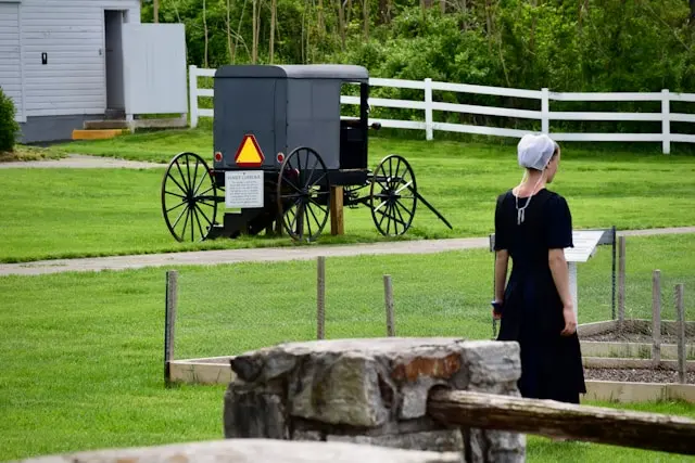 Day 8: AMISH COUNTRY- WASHINGTON, D.C.