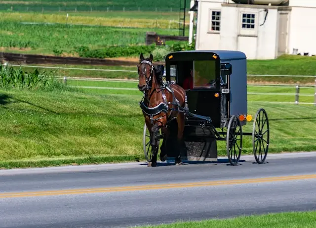 Day 5: Pennsylvania Dutch Country - Gettysburg - Washington, D.C