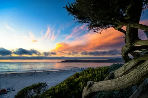 Day 13: San Francisco - Monterey/Carmel - Central Coast