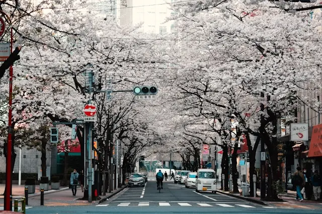 Day 2: Tokyo City Tour