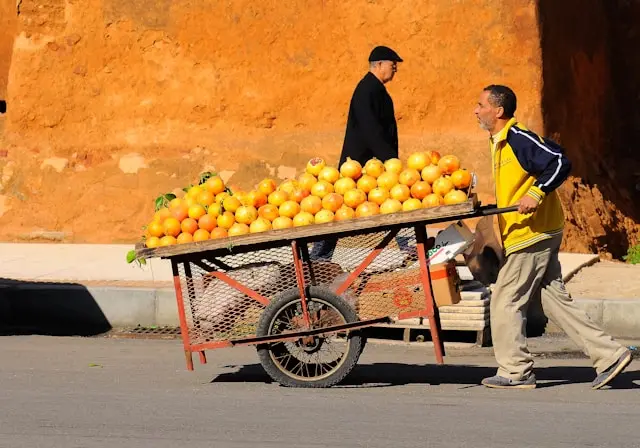 Day 10: Essaouira, Casablanca