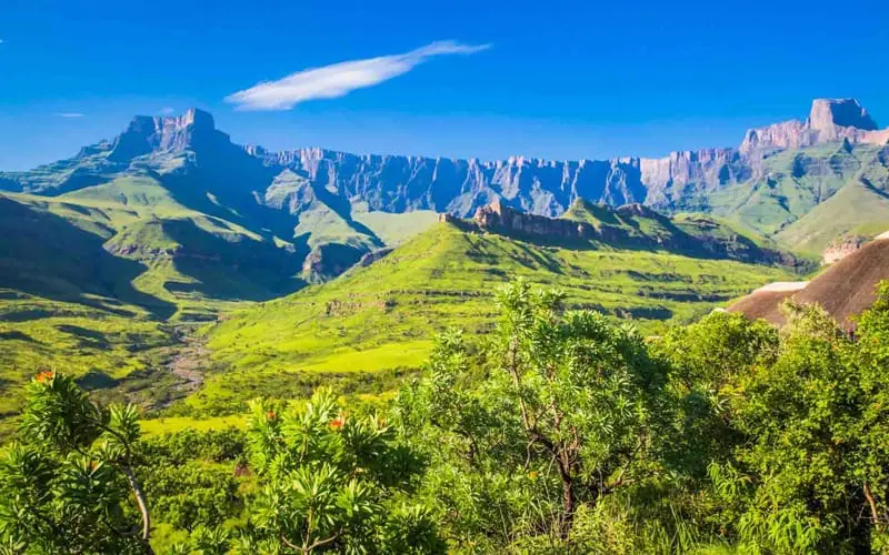 visit Africa