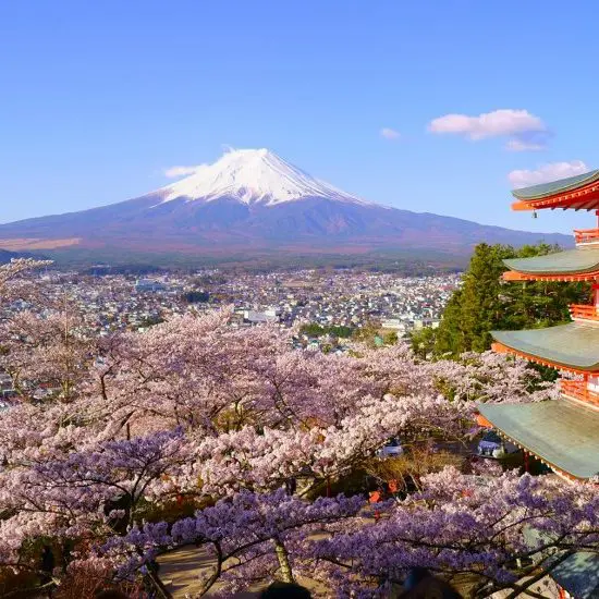 Best Japan Tours & Holidays 2025/26 | Travel Talk Tours