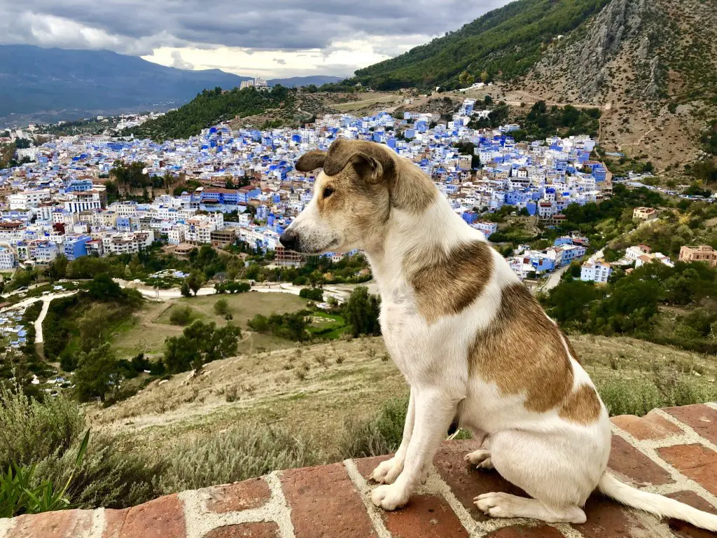 Morocco from above