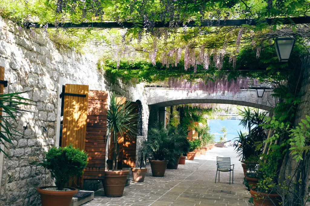 visit Budva