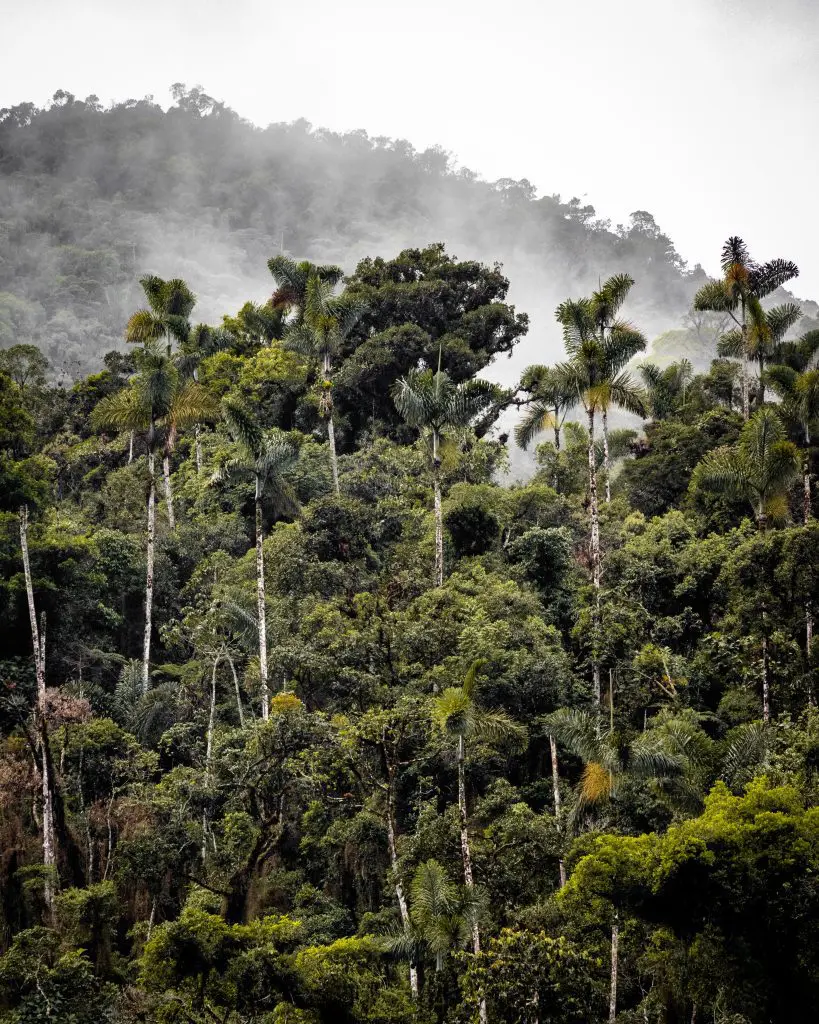 visit Puerto Maldonado