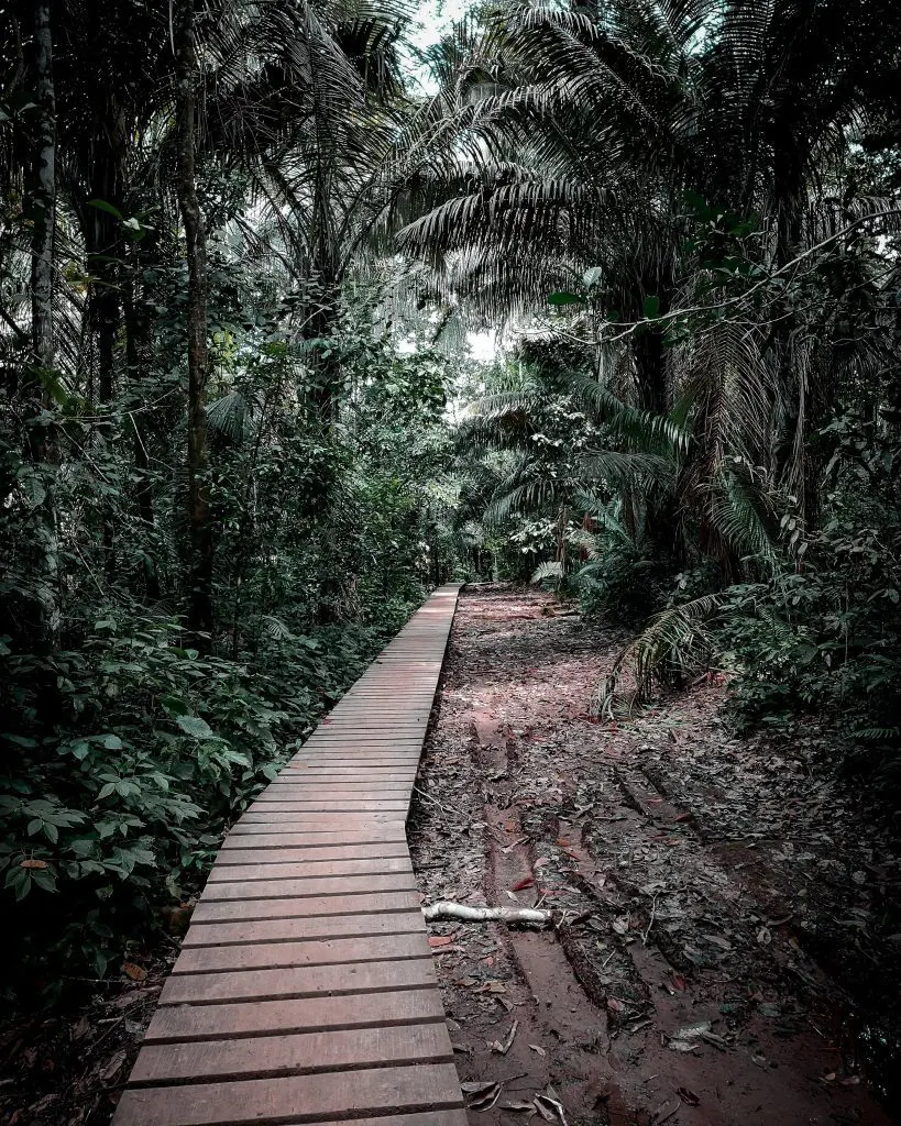 visit Puerto Maldonado