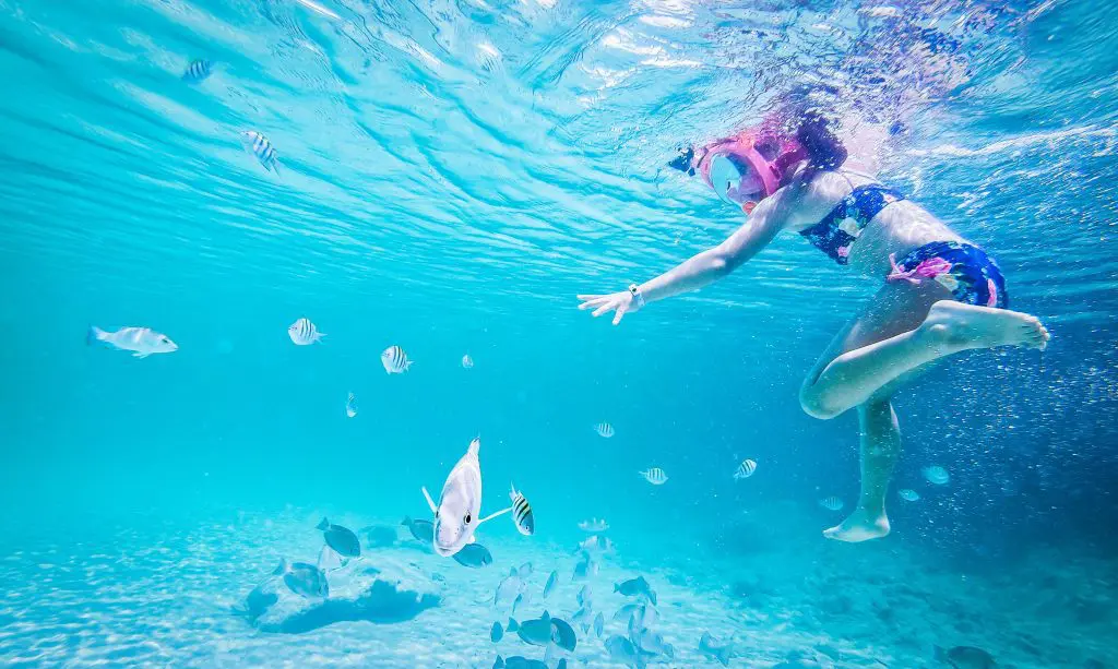 visit Cayo Santa Maria