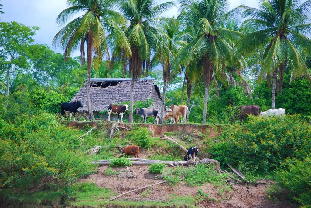 visit Puerto Maldonado