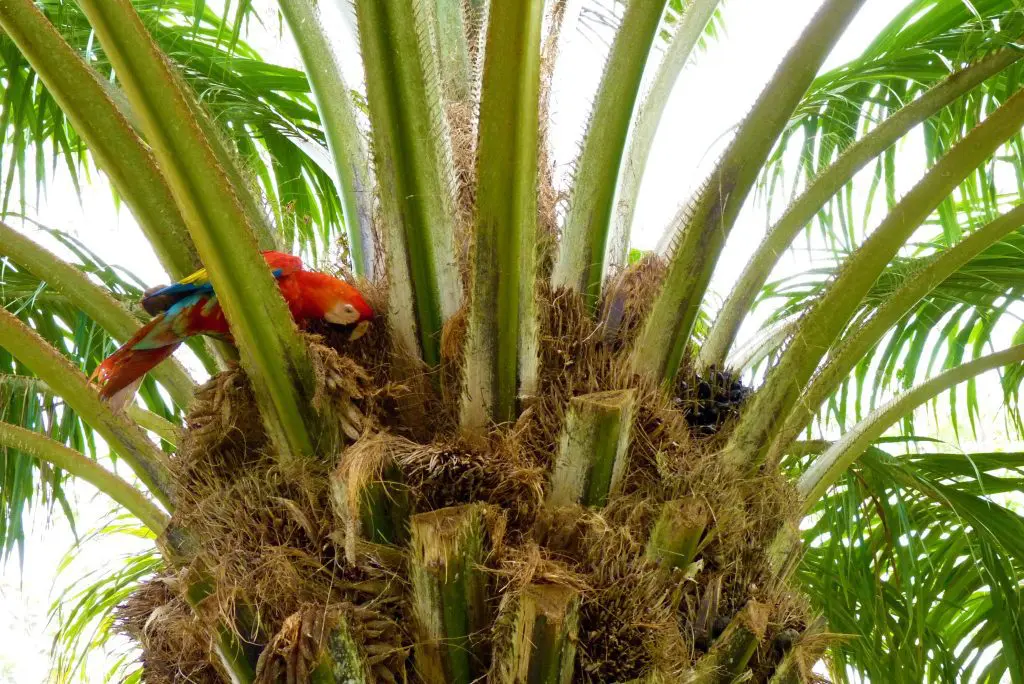 visit Puerto Maldonado