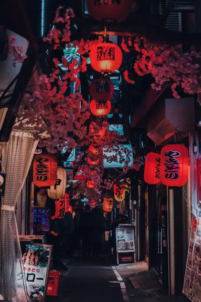Japan travel advice