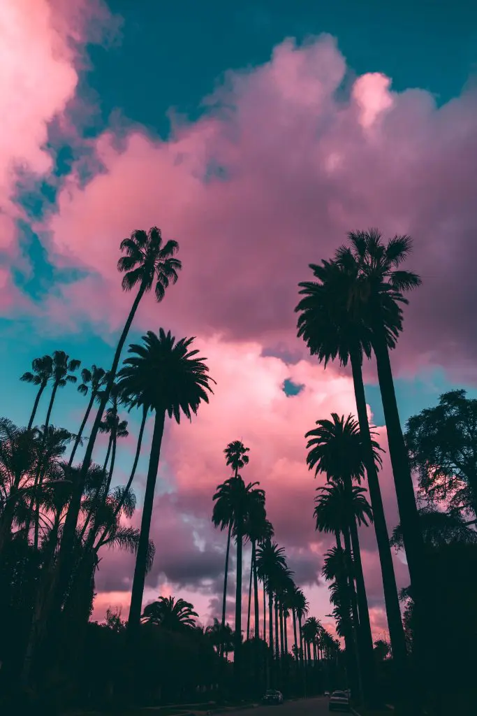 Hollywood