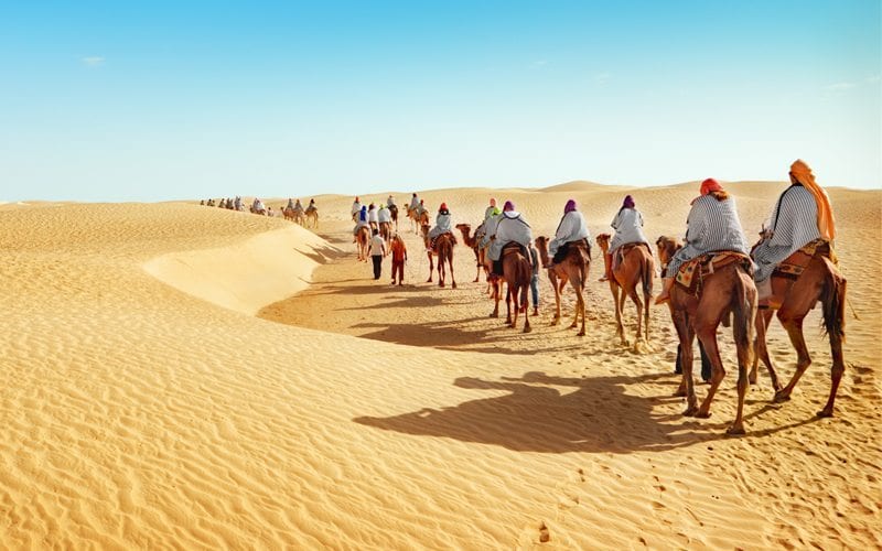 overseas adventure travel reviews morocco