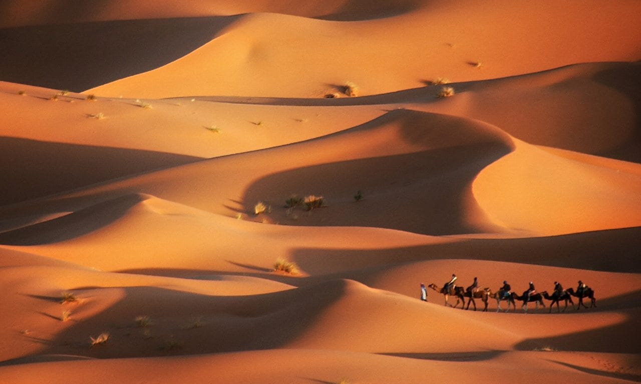 4.Camel trekking in the Sahara 