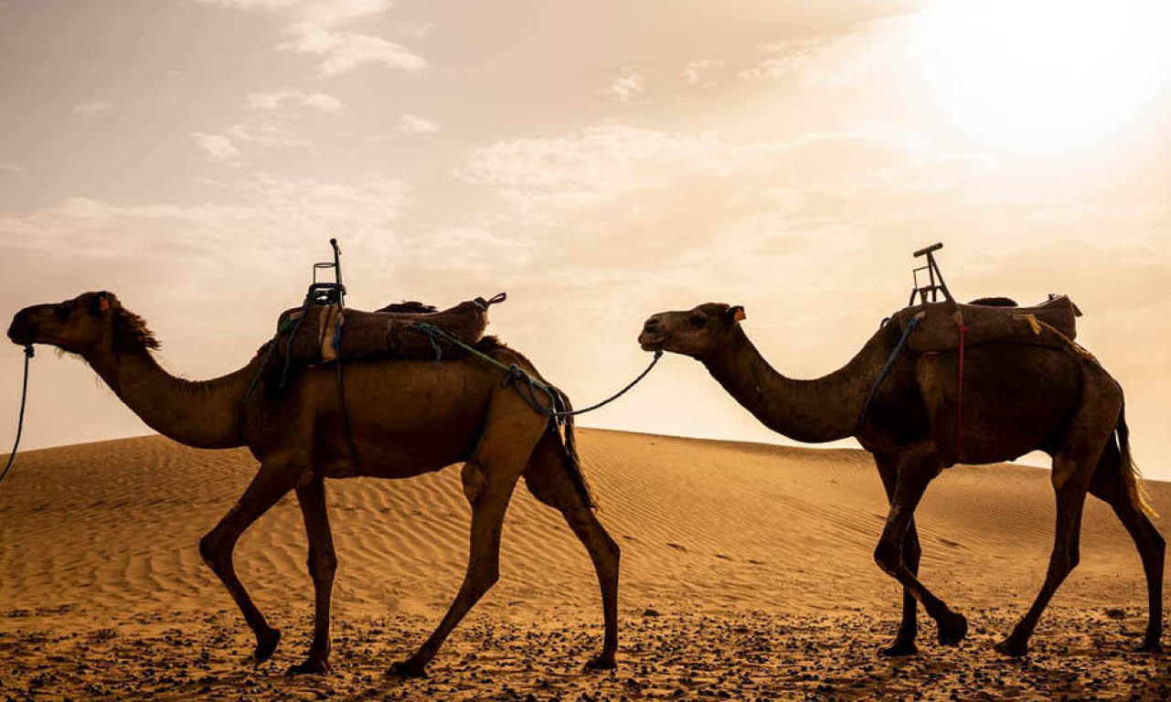 Top 10 Instagramable Spots in Morocco
