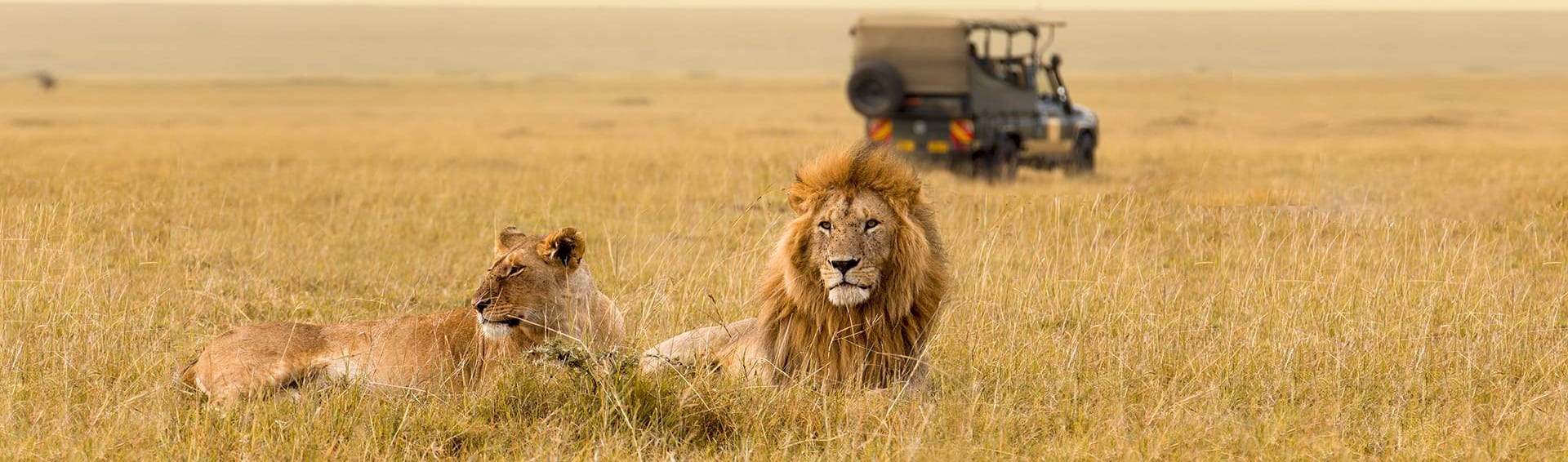South West Safari 25 Day-Accommodated