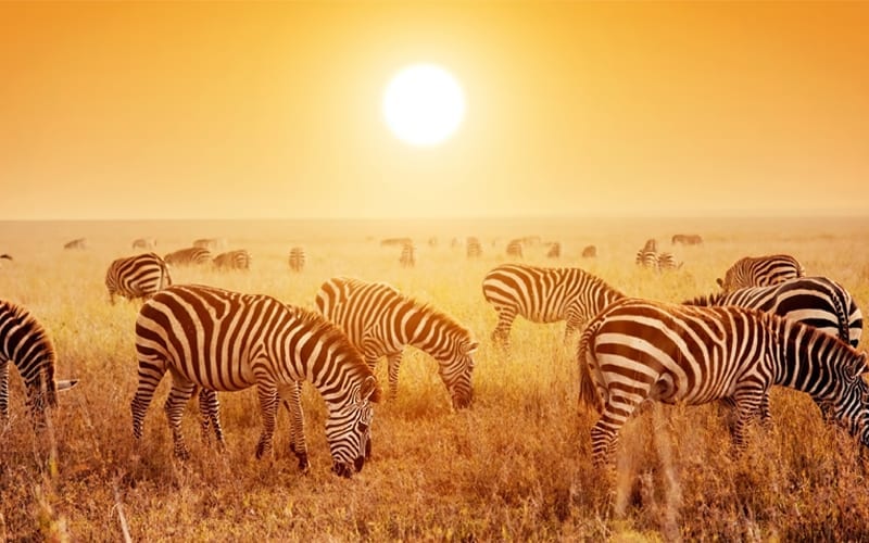 best time to visit africa