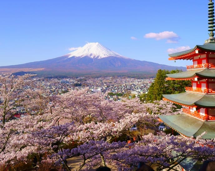 tourhub | Travel Talk Tours | Ultimate Japan | JPU