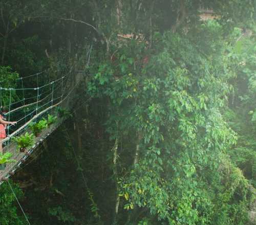 Costa Rica’s Cloud Forests