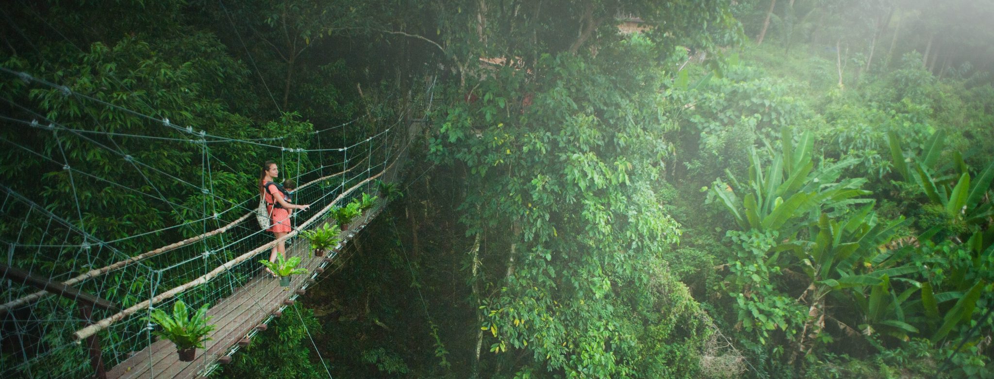 5 Reasons You Should Visit Costa Rica’s Cloud Forests