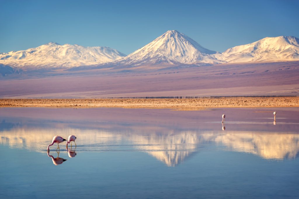 10 Fascinating Facts About Atacama: World's Driest Desert - Travel Talk