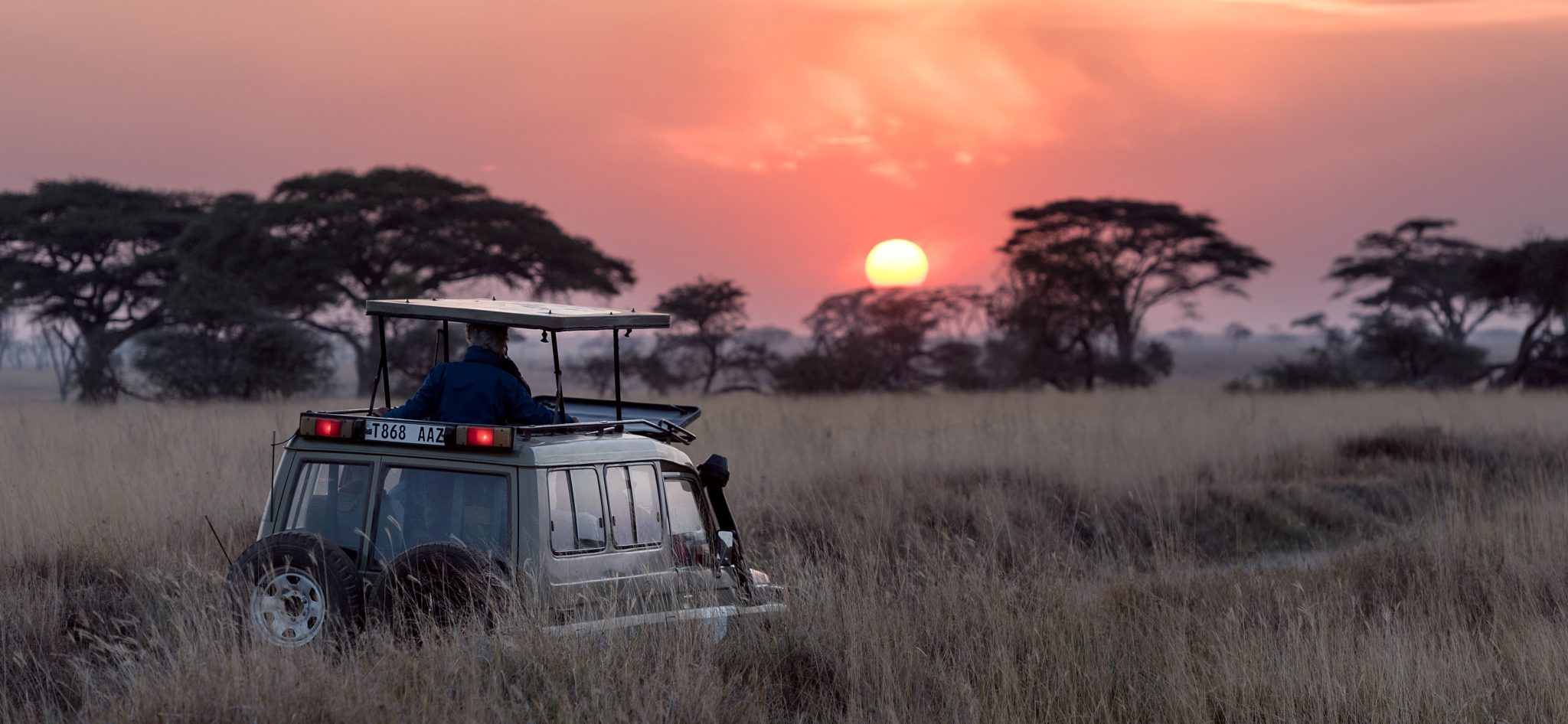 Where to spot the Lion King characters on Safari in Africa