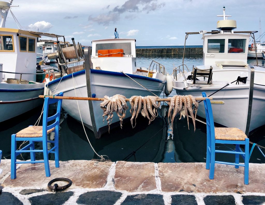 Drying the octopus in the picturesque fishing village of Naousa, Paros.
