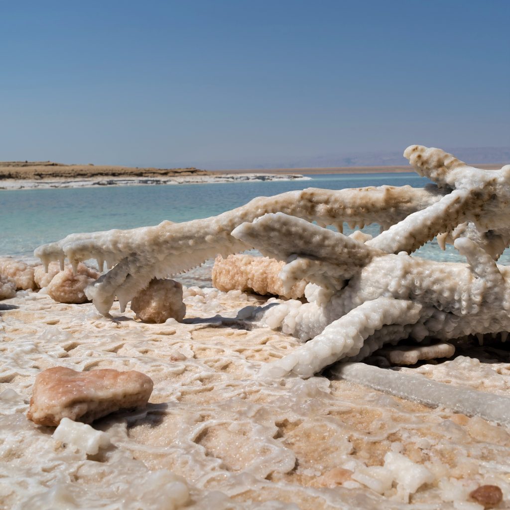 visit the Dead Sea