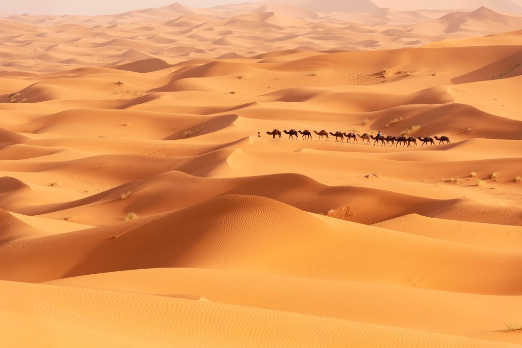 It’s a common misconception that the Sahara Desert is the largest desert in the world. It actually comes in third behind the Antarctic and Artic deserts. This is because deserts are defined as any barren landscape with a hostile environment for plants and animals. As a result, the Sahara Desert is the largest hot desert in the world but not the largest overall.