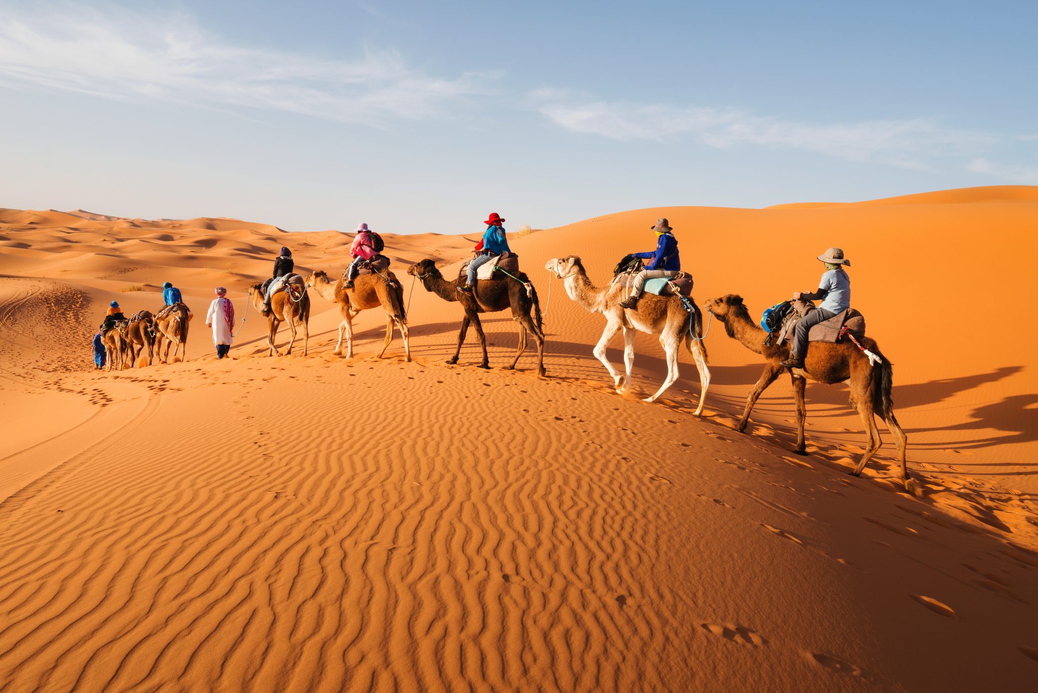 10 Facts About the Sahara Desert