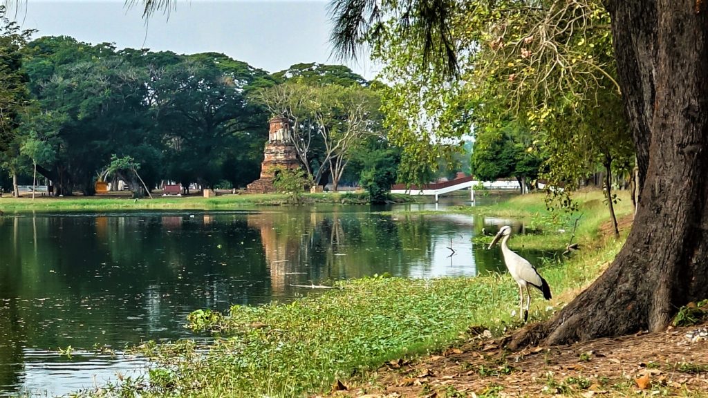visit Ayutthaya