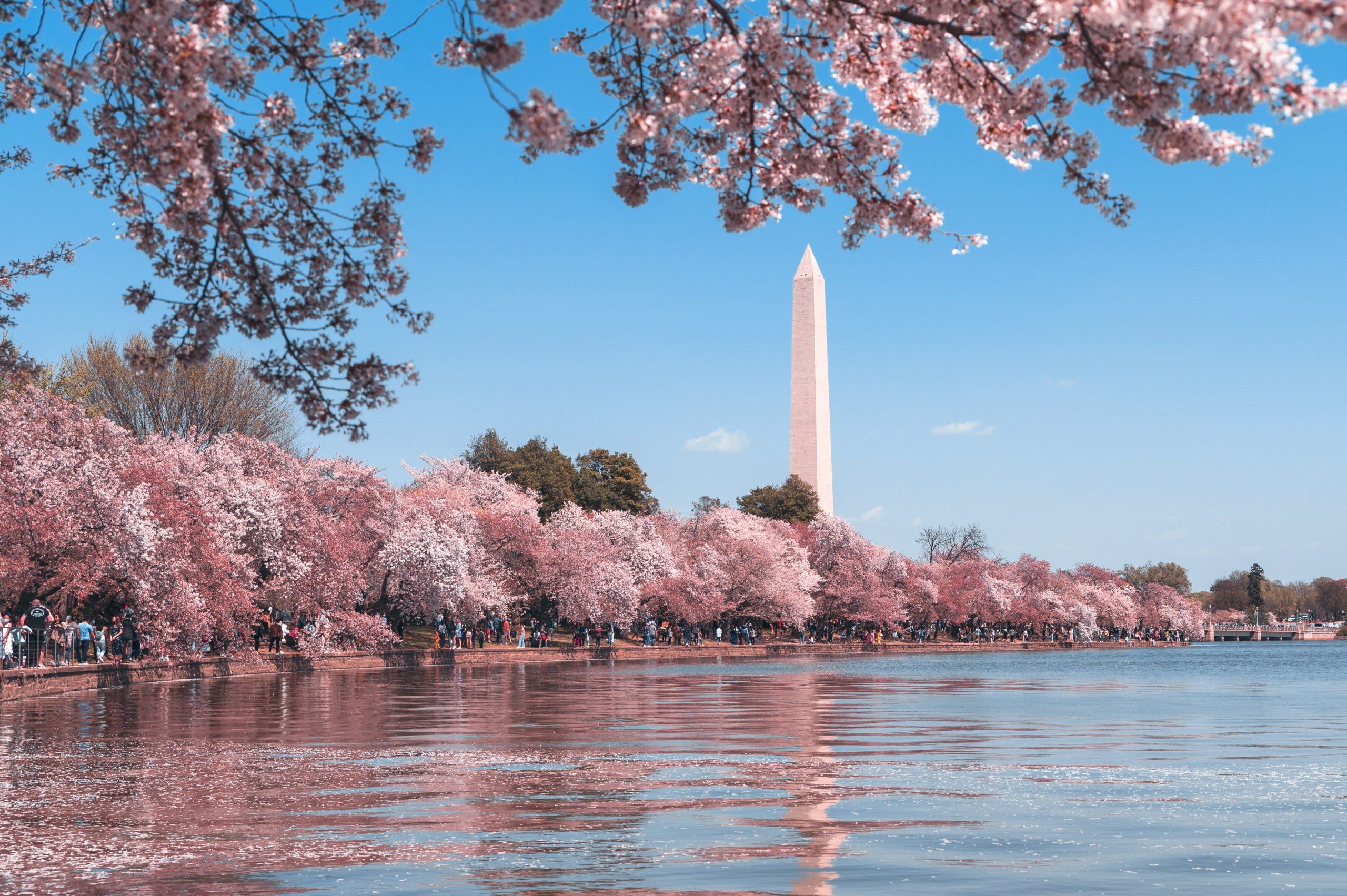 visit the USA in the spring