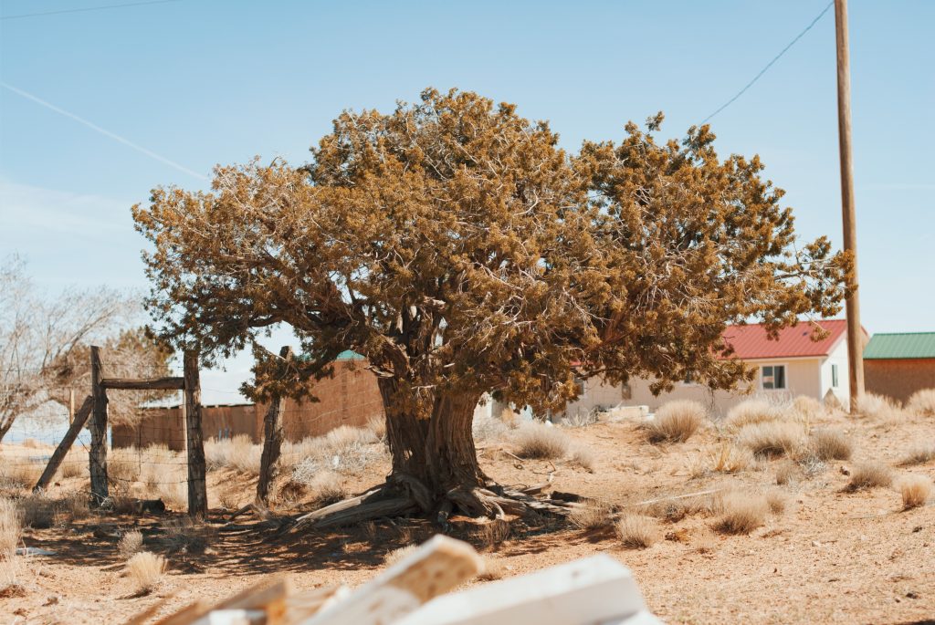 Sightseeing in Navajo