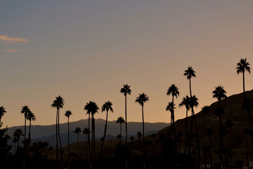 Sightseeing Palm Springs