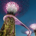 visit Singapore from February to April