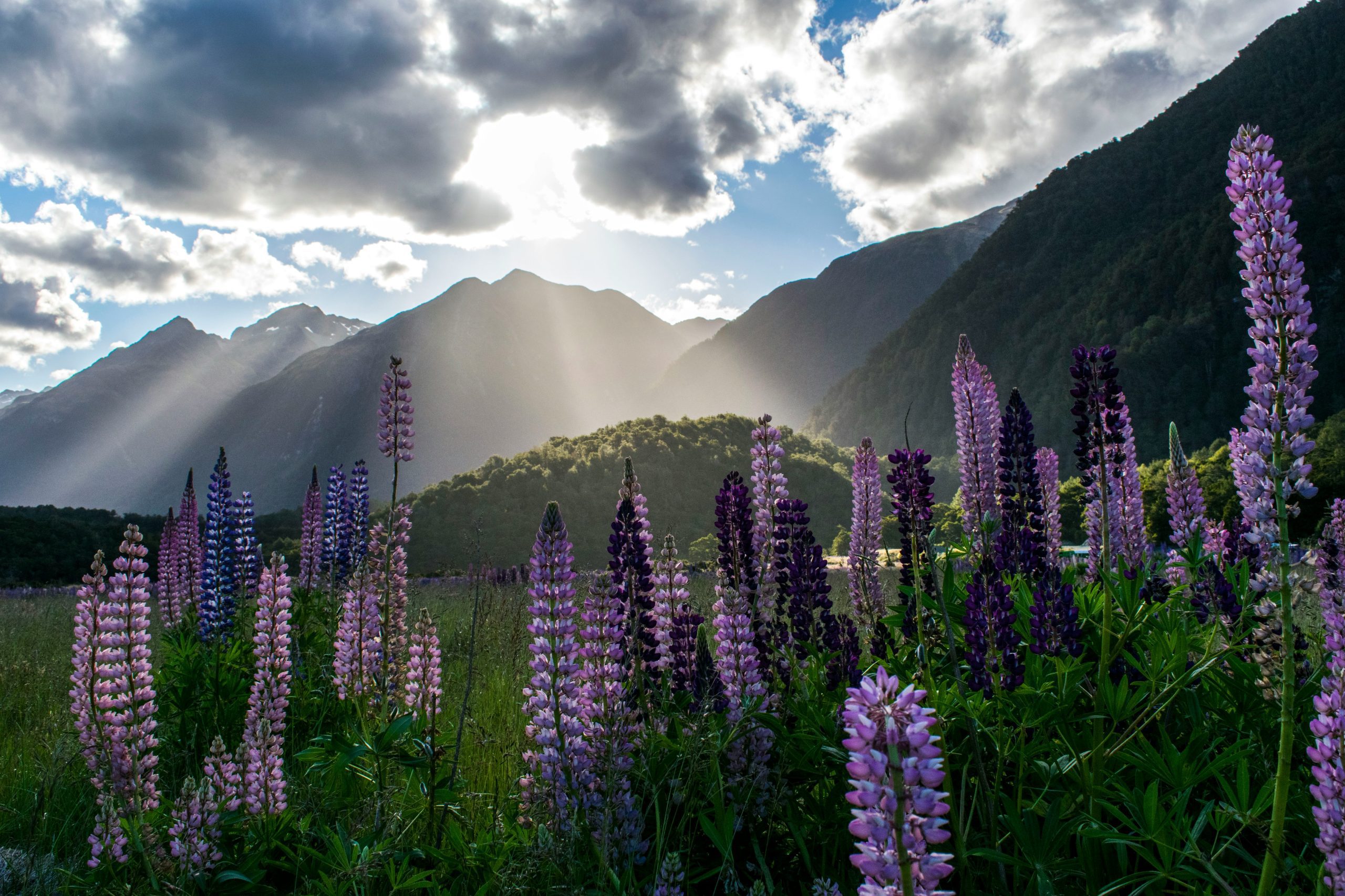 The Great Outdoors: Exploring New Zealand’s Stunning National Parks