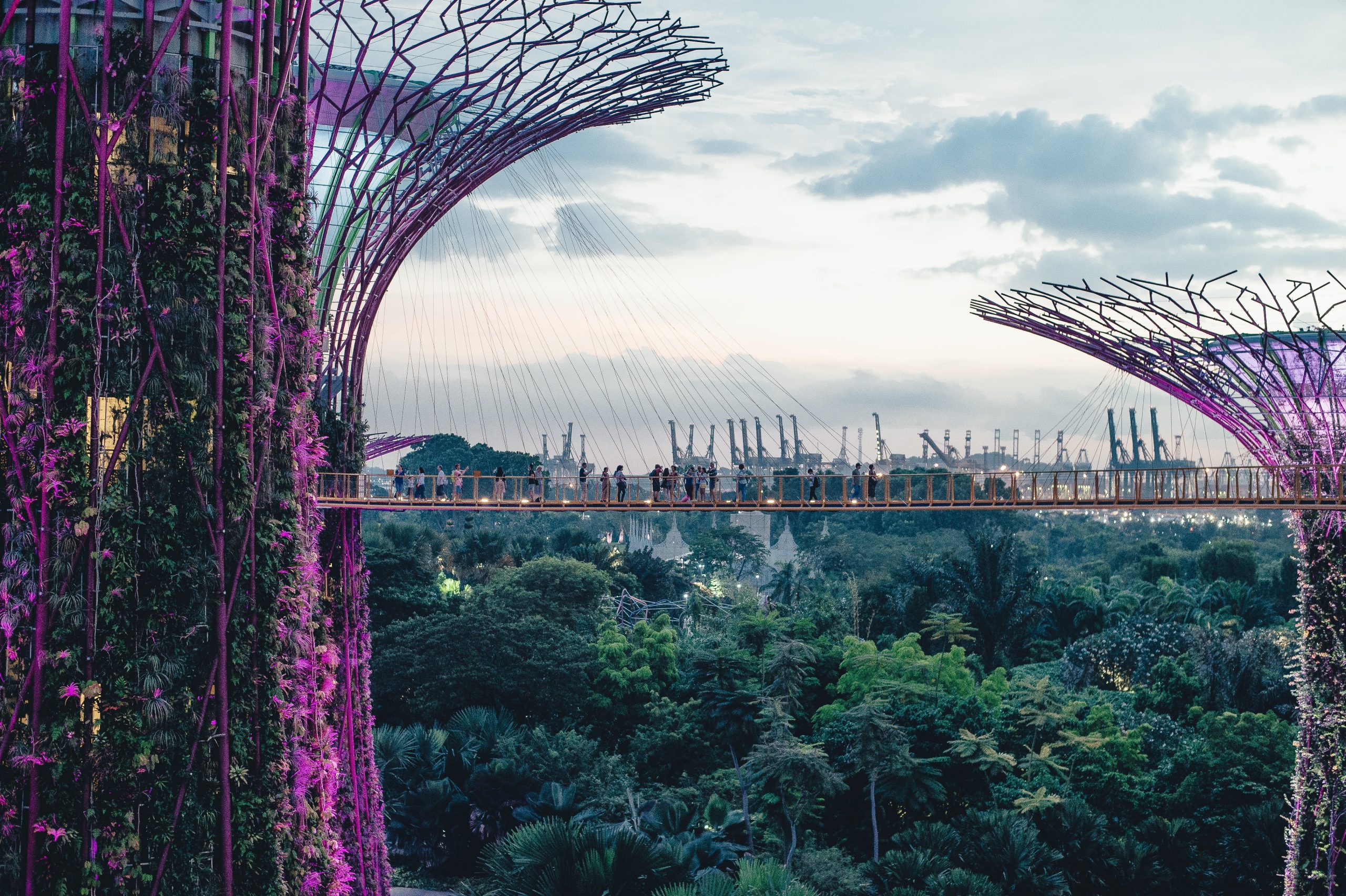 Tech and Innovation Hub: Visiting Singapore’s Futuristic Attractions