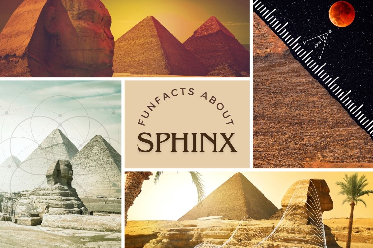 Fun Facts About Sphinx
