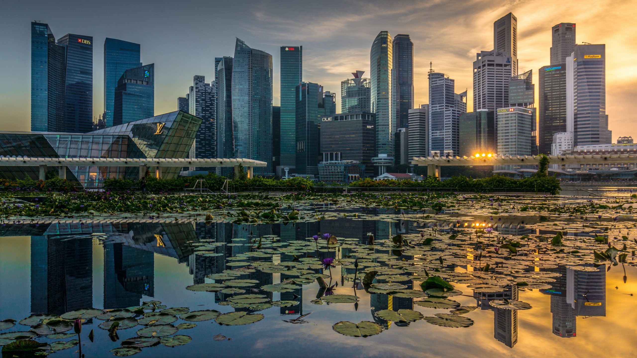 Skyline Views: Best Places to Capture Singapore’s Iconic Cityscape